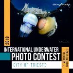 Unterwasserfotografie Awards Auszug STERN Photography Weimar